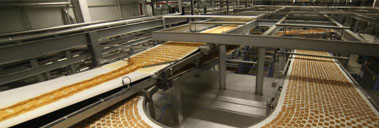 Bakery Products, Biscuit, Cake and Wafer Production Plant