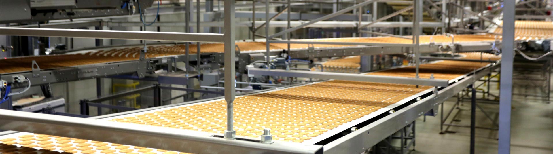 Bakery, Biscuit, Cake and Wafer Production Facility
