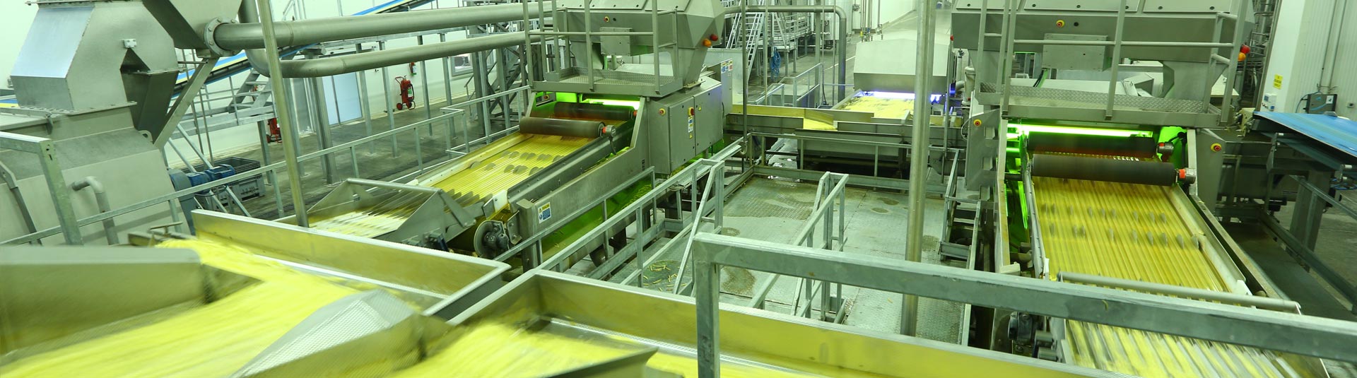 Dondurulmuş Parmak Patates Üretim Tesisi