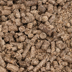 Pancar Posası Nasıl Saklanır?