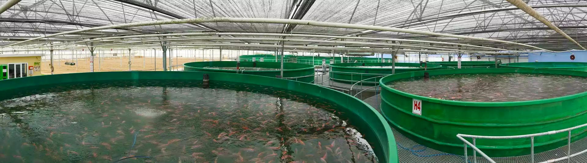 منشأة إنتاج الأسماك