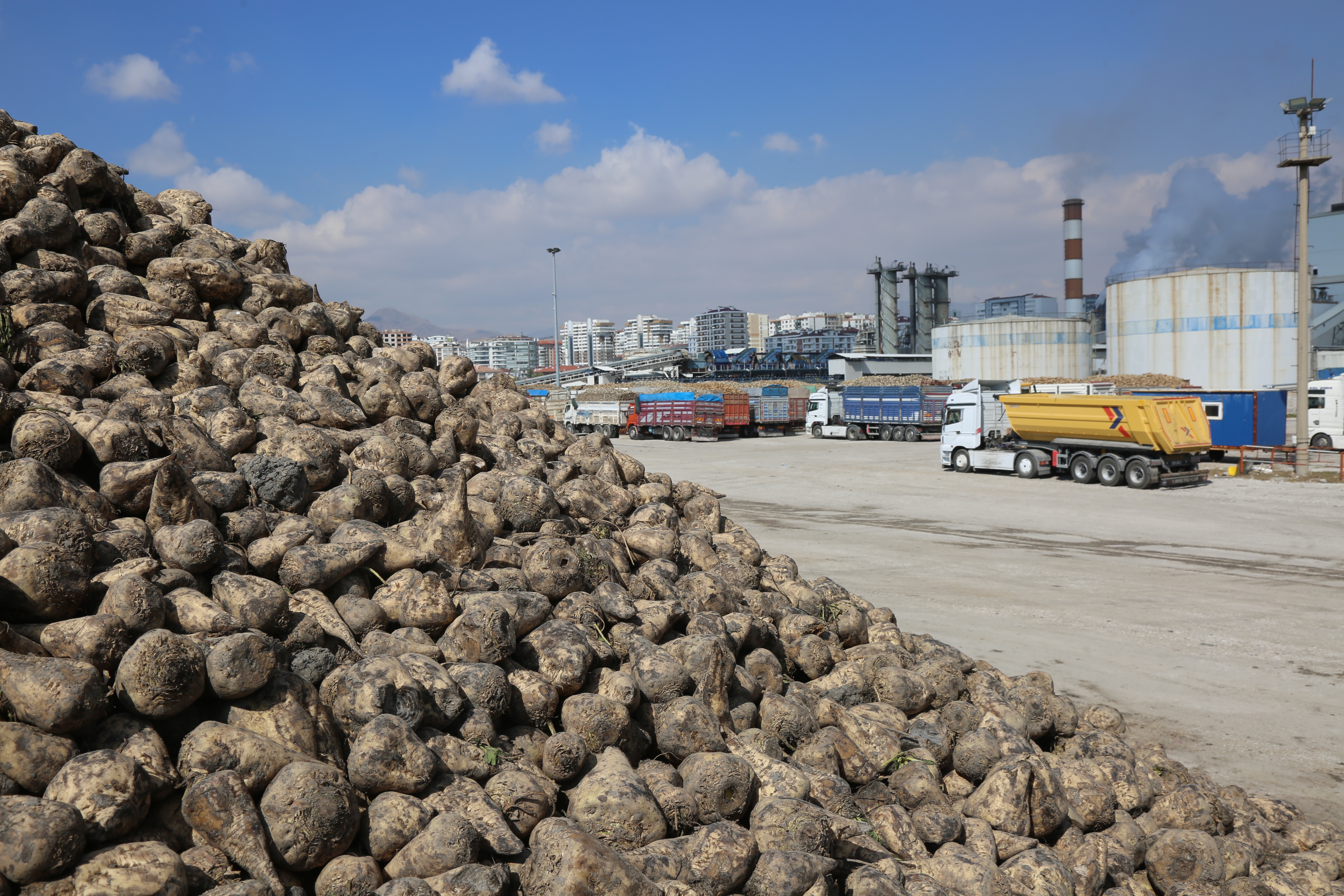 KONYA ŞEKER’DEN ÜRETİCİYE TOPLAM 12 MİLYAR 780 MİLYON 545 BİN TL’LİK DEV ÖDEME