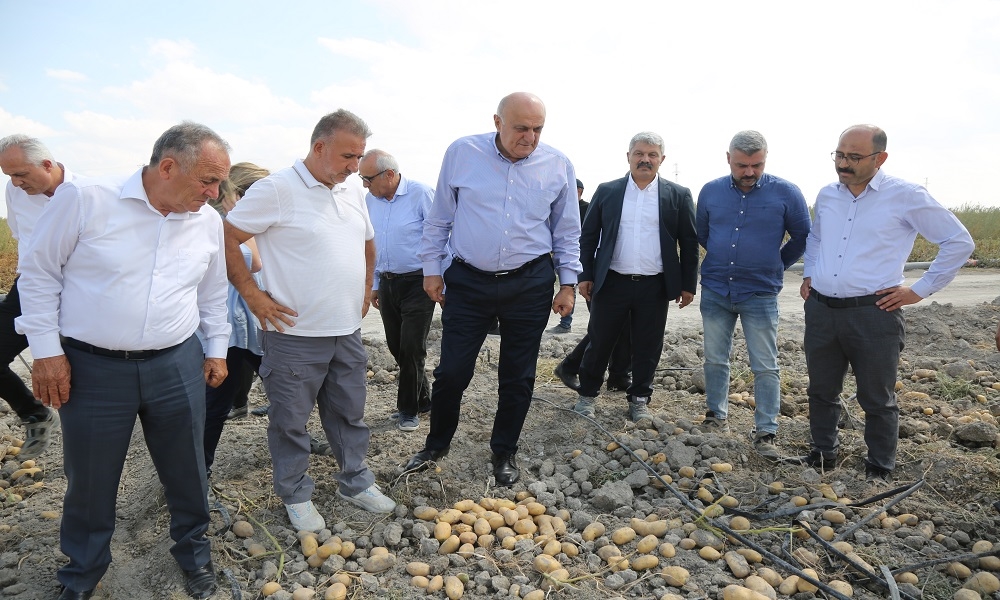BAŞKAN ERKOYUNCU: “2027 YILINDA PATATES TOHUMUNDA DIŞA BAĞIMLILIK BİTECEK”