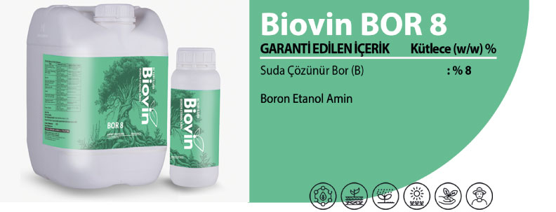 Biovin Fosforozinc